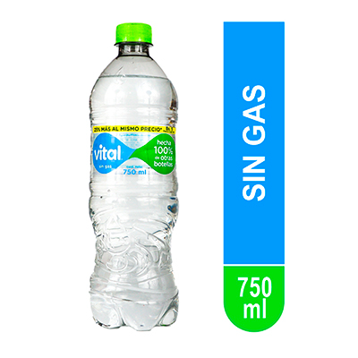 Agua Vital 600 ml.
